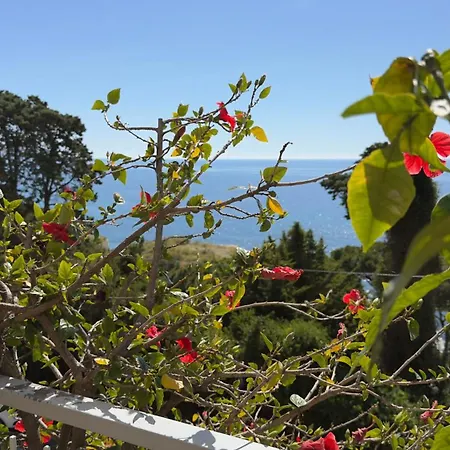 Sea View - Terrazza Privata & Wifi 아파트 산레모